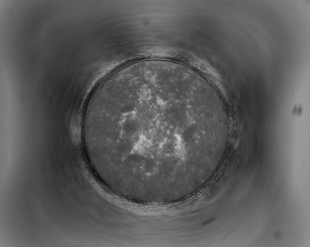 X0000098120012200804041418