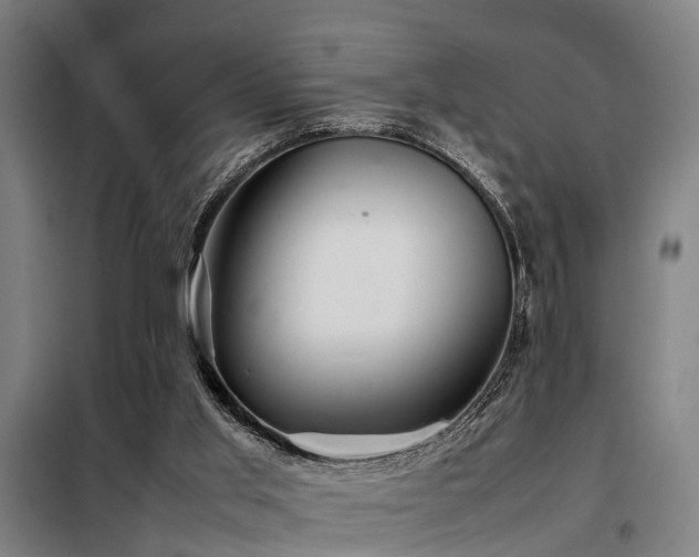 X0000098120013200804041418