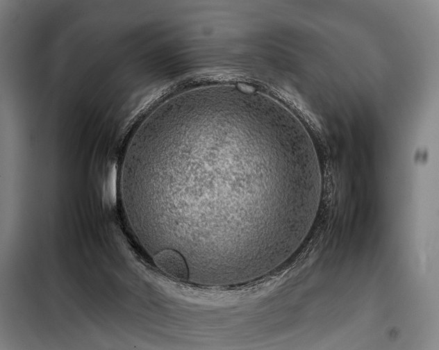 X0000098120014200804041418