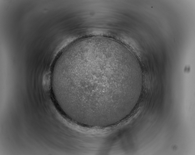X0000098120016200804041418