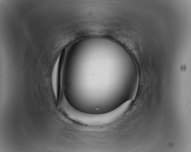 X0000098120017200804041418