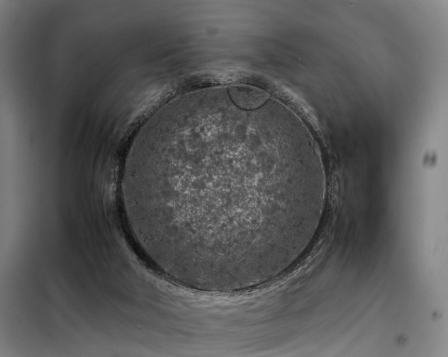 X0000098120018200804041418