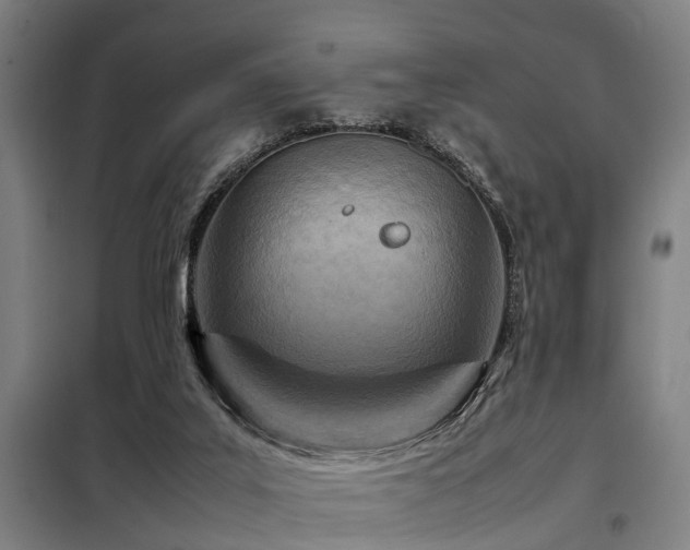 X0000098120019200804041418