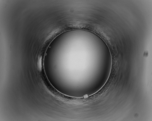 X0000098120020200804041418