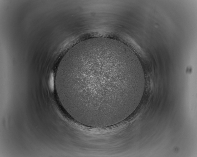 X0000098120022200804041418