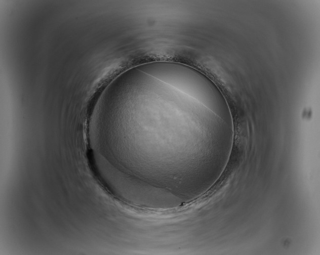 X0000098120023200804041418