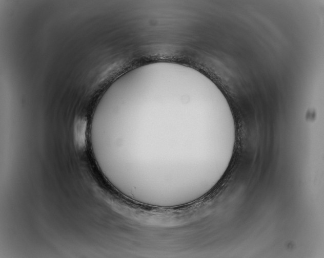 X0000098120024200804041418