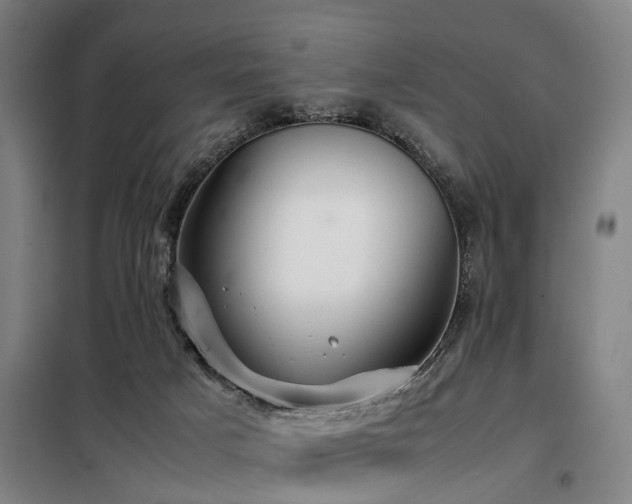 X0000098120025200804041418