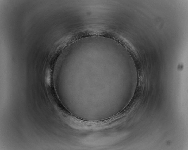 X0000098120026200804041418