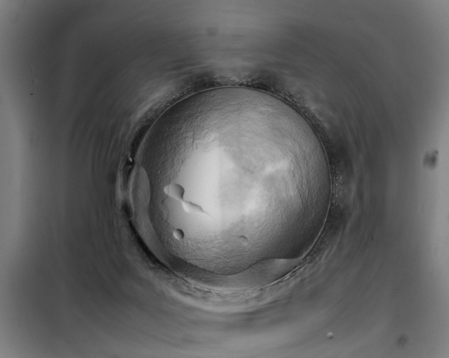X0000098120027200804041418
