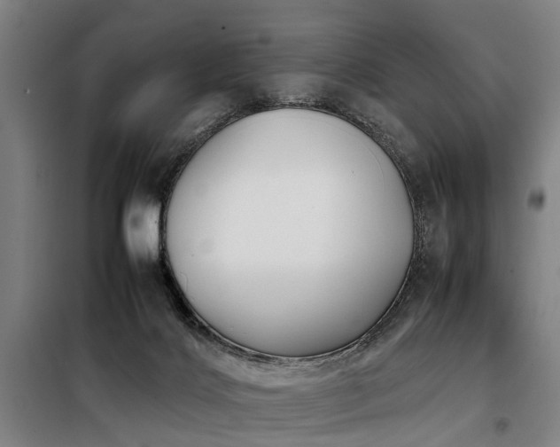 X0000098120028200804041418
