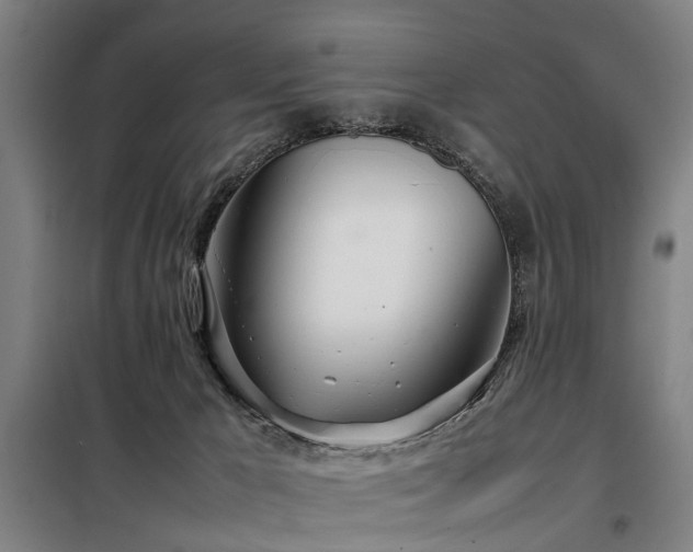 X0000098120029200804041418