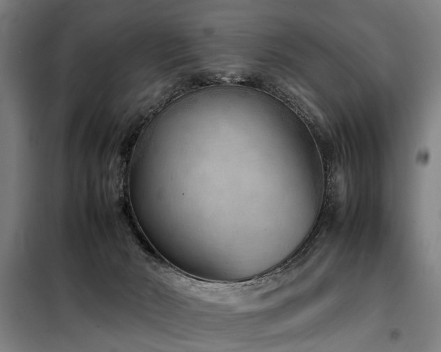 X0000098120030200804041418