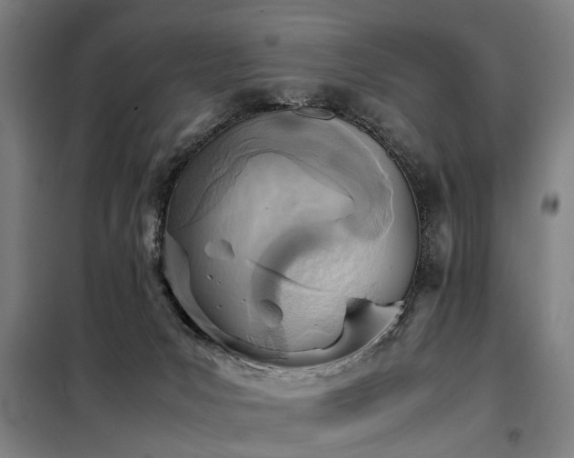 X0000098120031200804041418