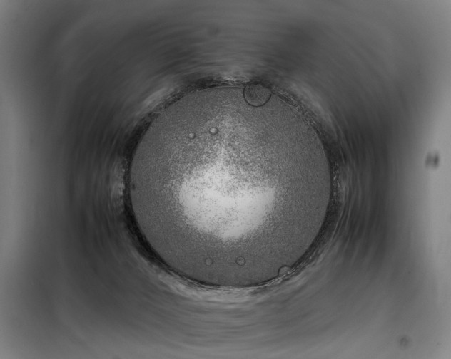 X0000098120032200804041418