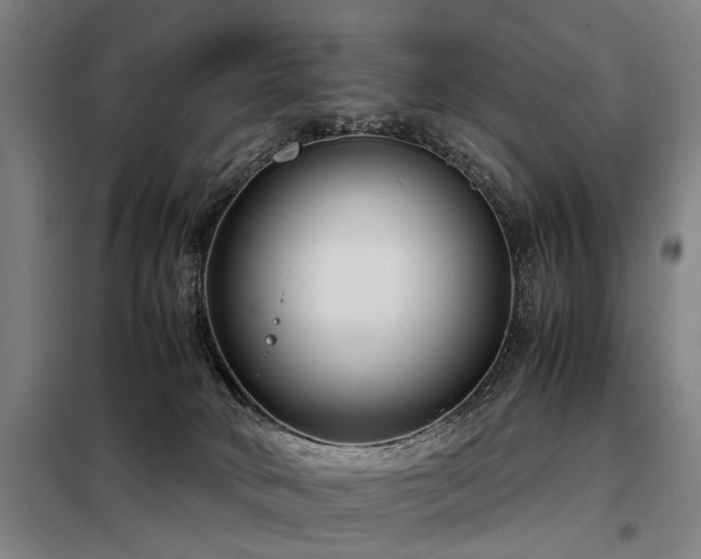 X0000098120034200804041418