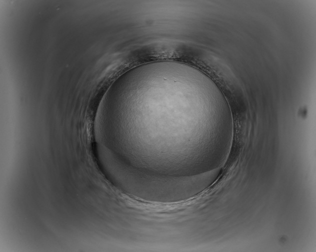 X0000098120035200804041418