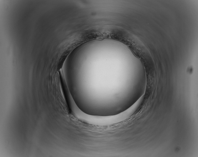 X0000098120037200804041418