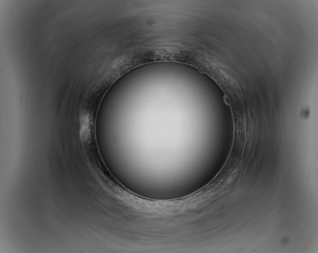 X0000098120038200804041418