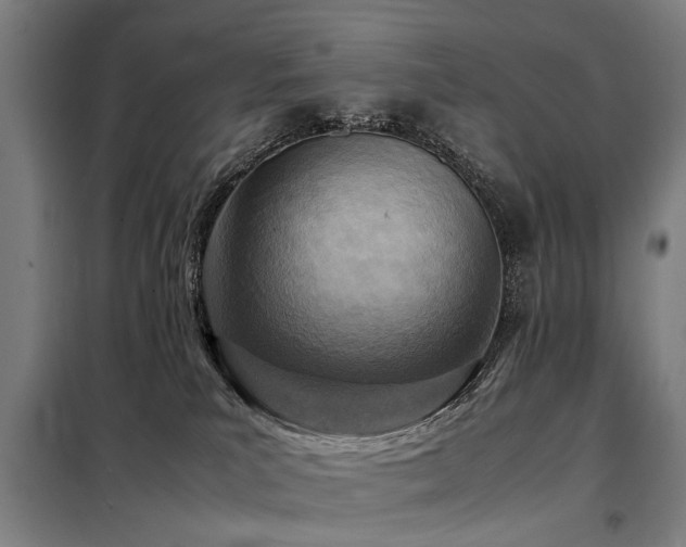 X0000098120039200804041418