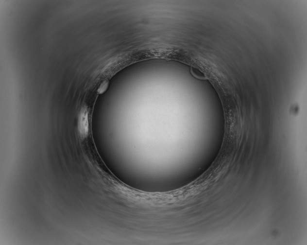 X0000098120042200804041418