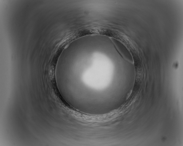 X0000098120043200804041418