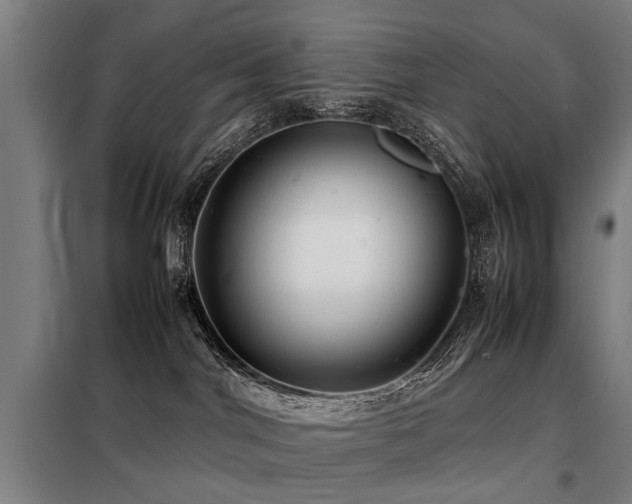 X0000098120044200804041418
