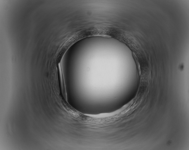 X0000098120045200804041418