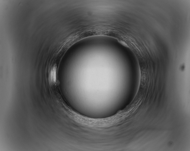 X0000098120046200804041418