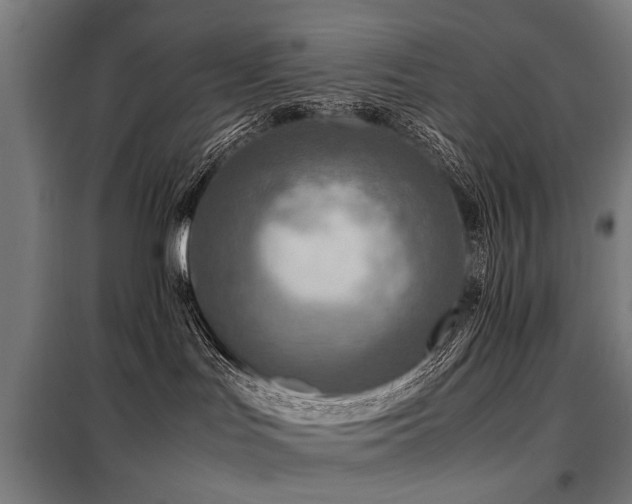 X0000098120047200804041418