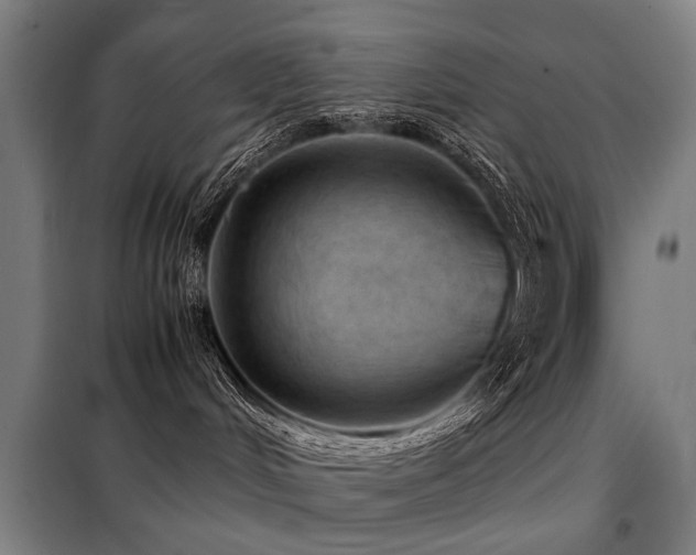 X0000098120048200804041418