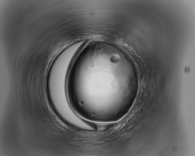 X0000098120049200804041417