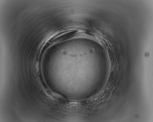 X0000098120050200804041417