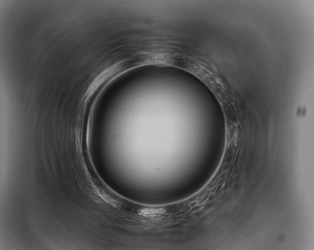 X0000098120051200804041417