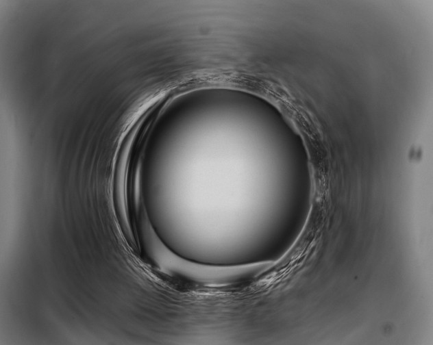 X0000098120052200804041417