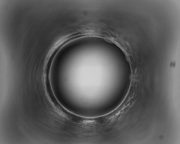 X0000098120055200804041417