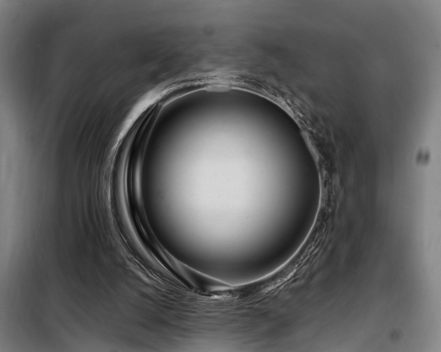 X0000098120056200804041417