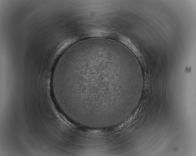 X0000098120058200804041417