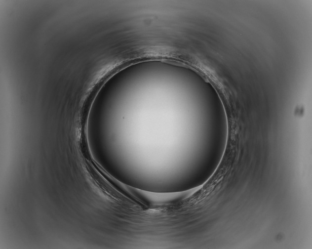 X0000098120060200804041417