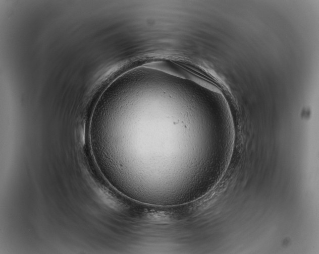 X0000098120062200804041417