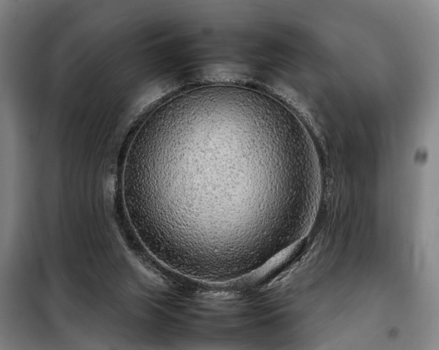 X0000098120063200804041417