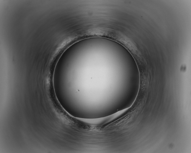 X0000098120064200804041417