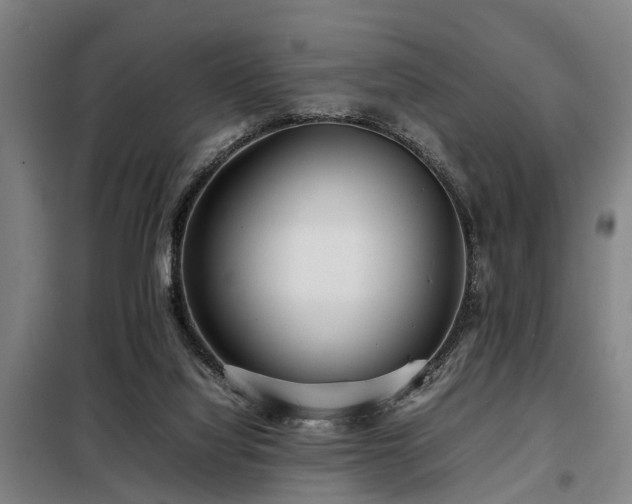 X0000098120068200804041417