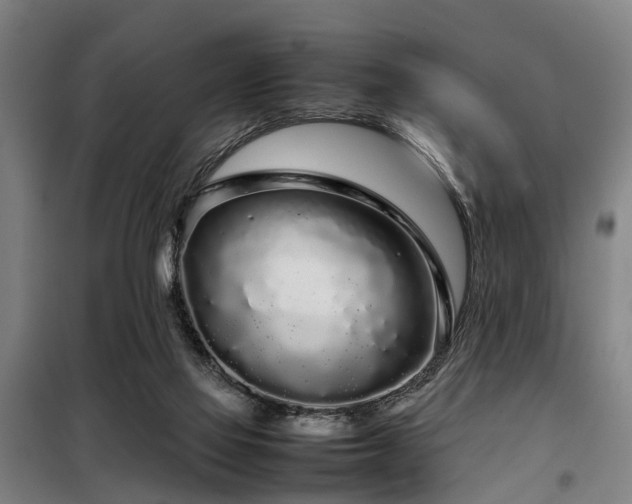 X0000098120069200804041417