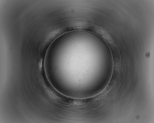 X0000098120070200804041417