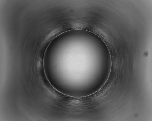 X0000098120071200804041417