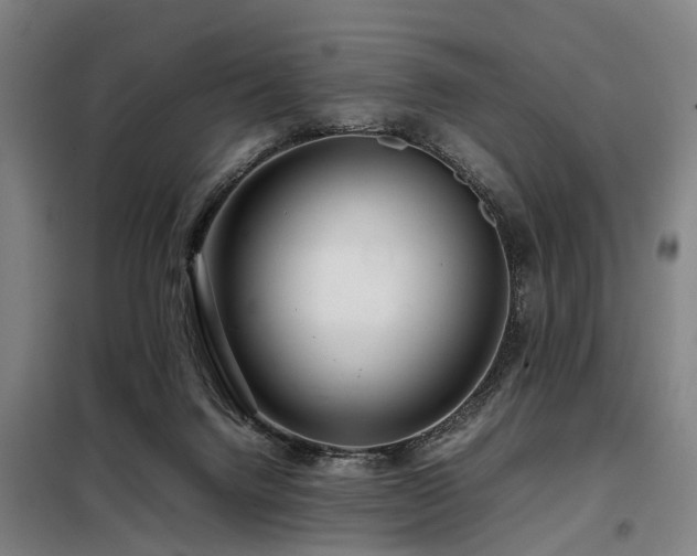 X0000098120072200804041417