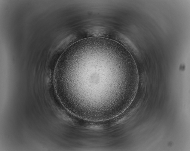 X0000098120073200804041417