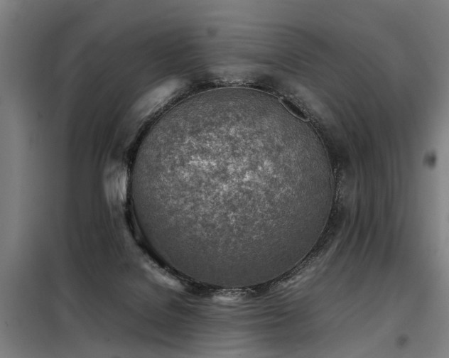 X0000098120076200804041417