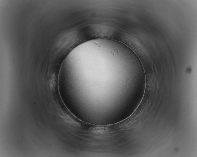 X0000098120077200804041417